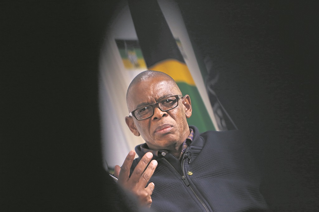 ANC secretary-general Ace Magashule. Photo: Gallo Images/Sunday Times/Alon Skuy