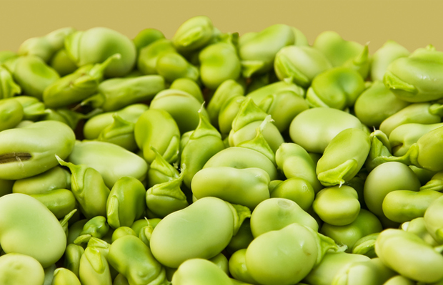 close up of lima beans