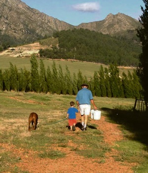 Nicki’s father, Frans, walks with her son Tolga to feed the horses on Riverlea Farm in the Outeniqua Mountains. Picture: JACQUI SPEERS