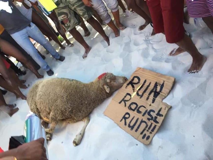 A sheep is offered during a “cleansing ceremony to wash away the spirit of racism” at Clifton Beach in Cape Town. Picture: Supplied