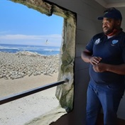 The penguin whisperer of Gansbaai ensures all his patients have happy feet