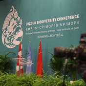 UN biodiversity talks open, billed as 'last chance' for nature