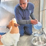 Cape of Good Hope SPCA flooded with donations amid Southern Suburbs water crisis