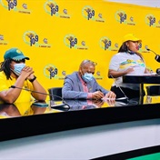 The ANC Youth League has plans for the SA Reserve Bank, and expropriation without compensation