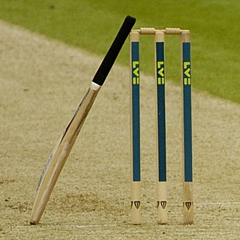 Cricket bat (Gallo Images)
