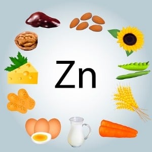 Zinc is an essential component of a healthy diet. 