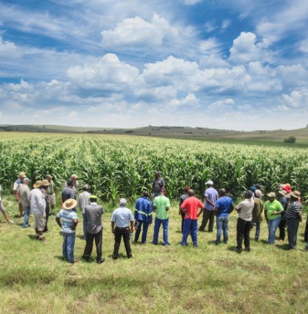 Opkomende boere het die potensiaal om die Suid-Afrikaanse landbousektor te verander. Gevolglik ondersteun AFGRI die ontwikkeling van gemeenskappe en voedselsekerheid vir almal. Foto: Afgri