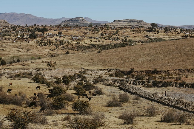 Die Lesothogrens afgeneem vanaf die distrik Fouriesburg, met die Maluti-berge op die agtergrond. Foto: Willem van der Berg