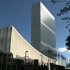 One in three UN employees have been sexually harassed: survey