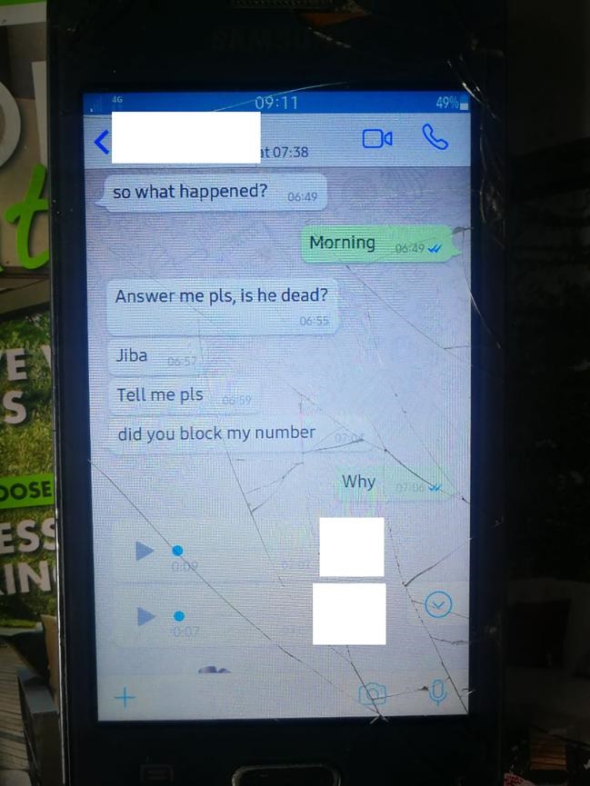 Screengrabs of messages the girlfriend sent to her new boyfriend about her ex.