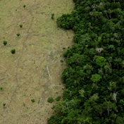 Tropical forest losses in 2022 roughly the size of Switzerland - report