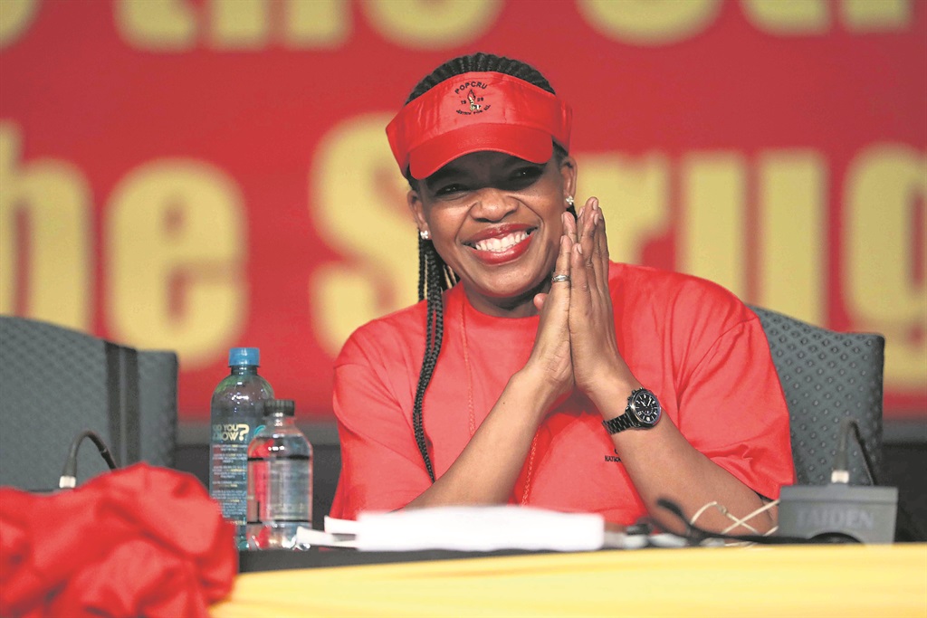 News24.com | Cosatu celebrates Workers' Day with clarion call ‘to advance working class struggles’