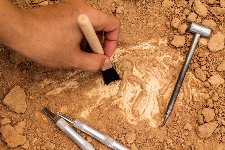 A man uses archaeological tools. 