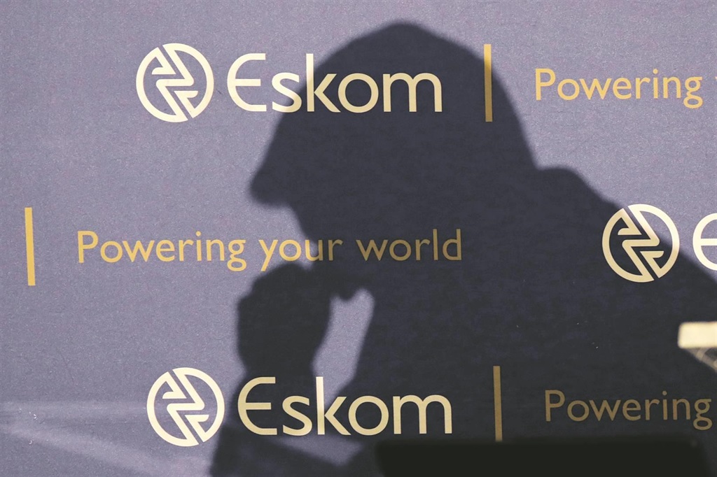 Eskom CEO André de Ruyter is pictured in profile during a media briefing.