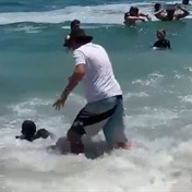 WATCH: Shock as seal attacks beachgoers!