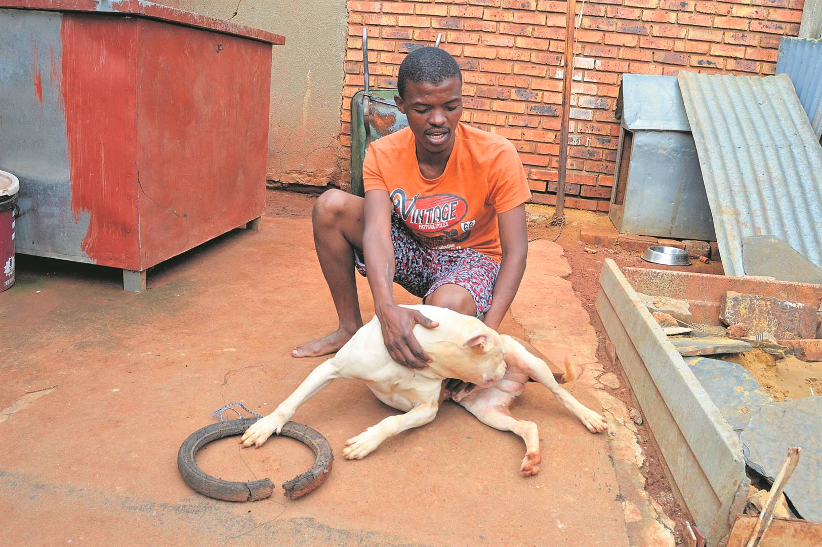 Bongane Radebe shows the SunTeam how friendly his pit bull is. Photos byTumelo Mofokeng