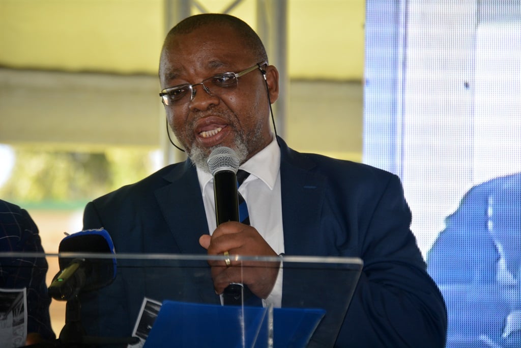 Minister Gwede Mantashe. Picture: Everson Luhanga.