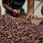 Cocoa prices smash records on weather woes