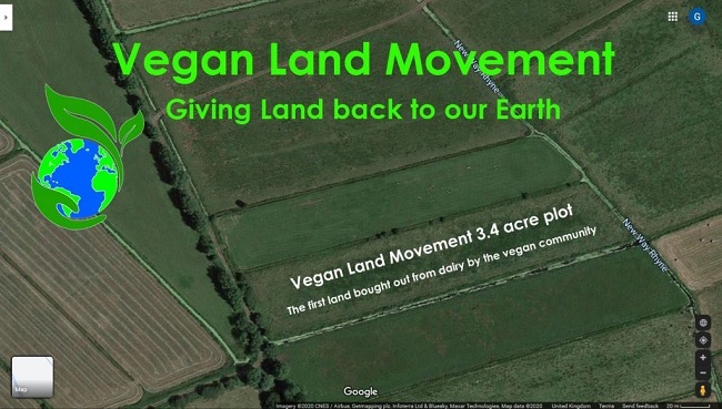 'n Skermgreep van die eerste stuk grond wat die Vegan Land Movement gekoop het. Foto: https://globalvegancrowdfunder.org/