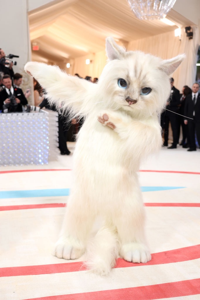 Karl Lagerfeld's cat Choupette invited to the 2023 Met Gala