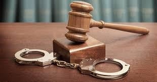 Two suspects appeared before the Kroonstad Magistrate's Court after being arrested for housebreaking and theft.