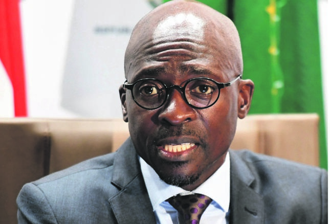 Malusi Gigaba, Home Affairs Minister  Picture: Deaan Vivier 