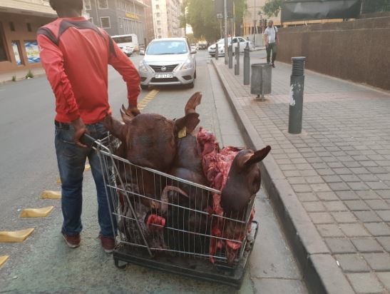 Joburg mayor Herman Mashaba was not impressed to see this man pushing an open trolley full of cow heads