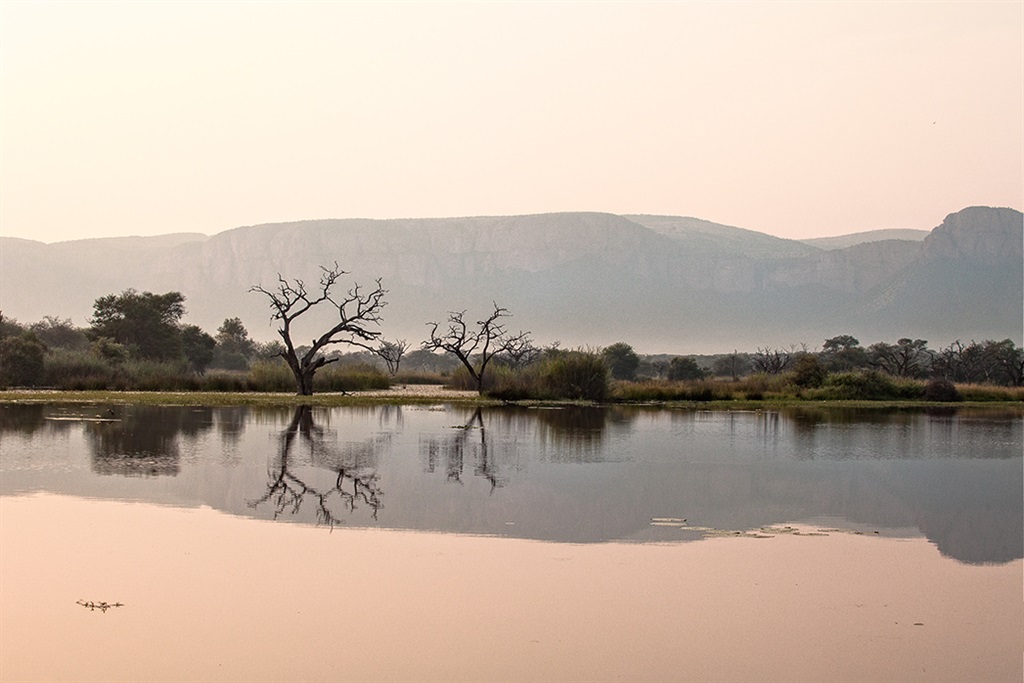 Sunrise over lake with reflections of trees and mountains in Waterberg, South Africa. Photo: Galloimages/Gettyimages.com