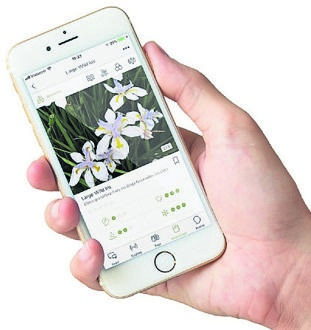 The garden app: Candide was first launched in South Africa and has now been rolled out in the UK Pictures:supplied 