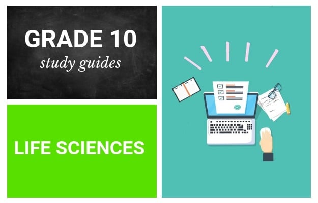 Grade 10 study guides