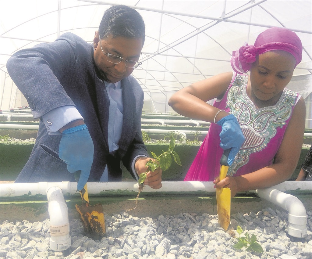 This aquaponic farm was recently opened at Elias Motsoaledi Clinic in Mzimhlophe, Soweto.                Photos by Malereko Tae