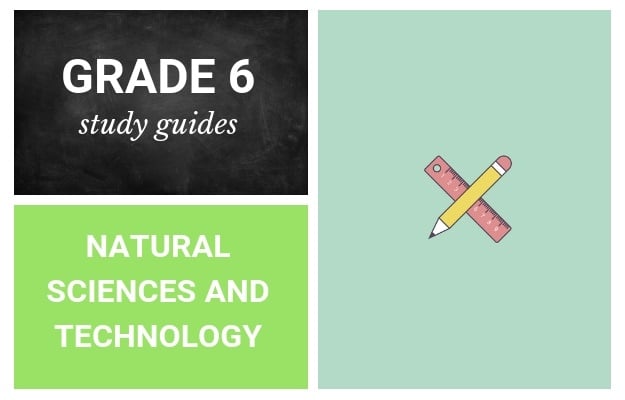 Free study guides for grade 6 learners.