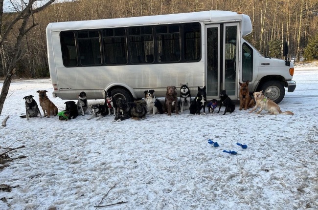 Mo and Lee Thompson customised a minibus to make it more accessible to the dogs they take on walks. (PHOTO: Instagram @mo_mountain_mutts)