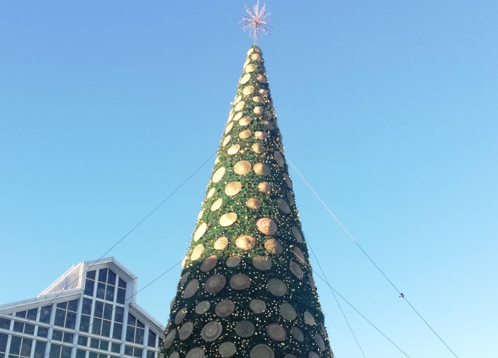 A Christmas tree is seen in Cape Town.