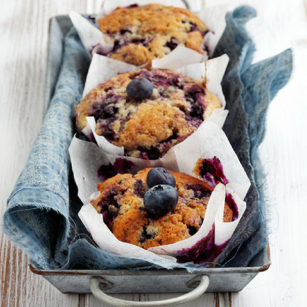 the blueberry muffin