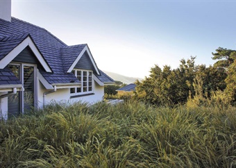 An ornamental grass rooftop garden 