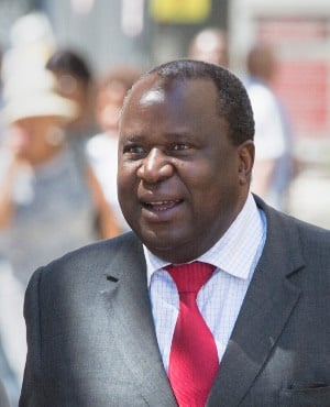 Tito Mboweni, South African Minister of Finance. (RODGER BOSCH/AFP/Getty Images)