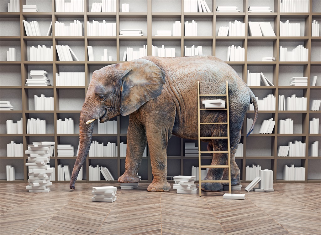 Elephant in the room Picture: iStock 