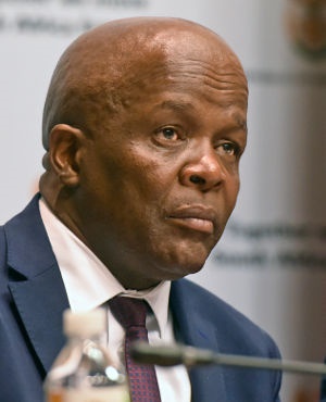 Deputy Finance Minister Mondli Gungubele 