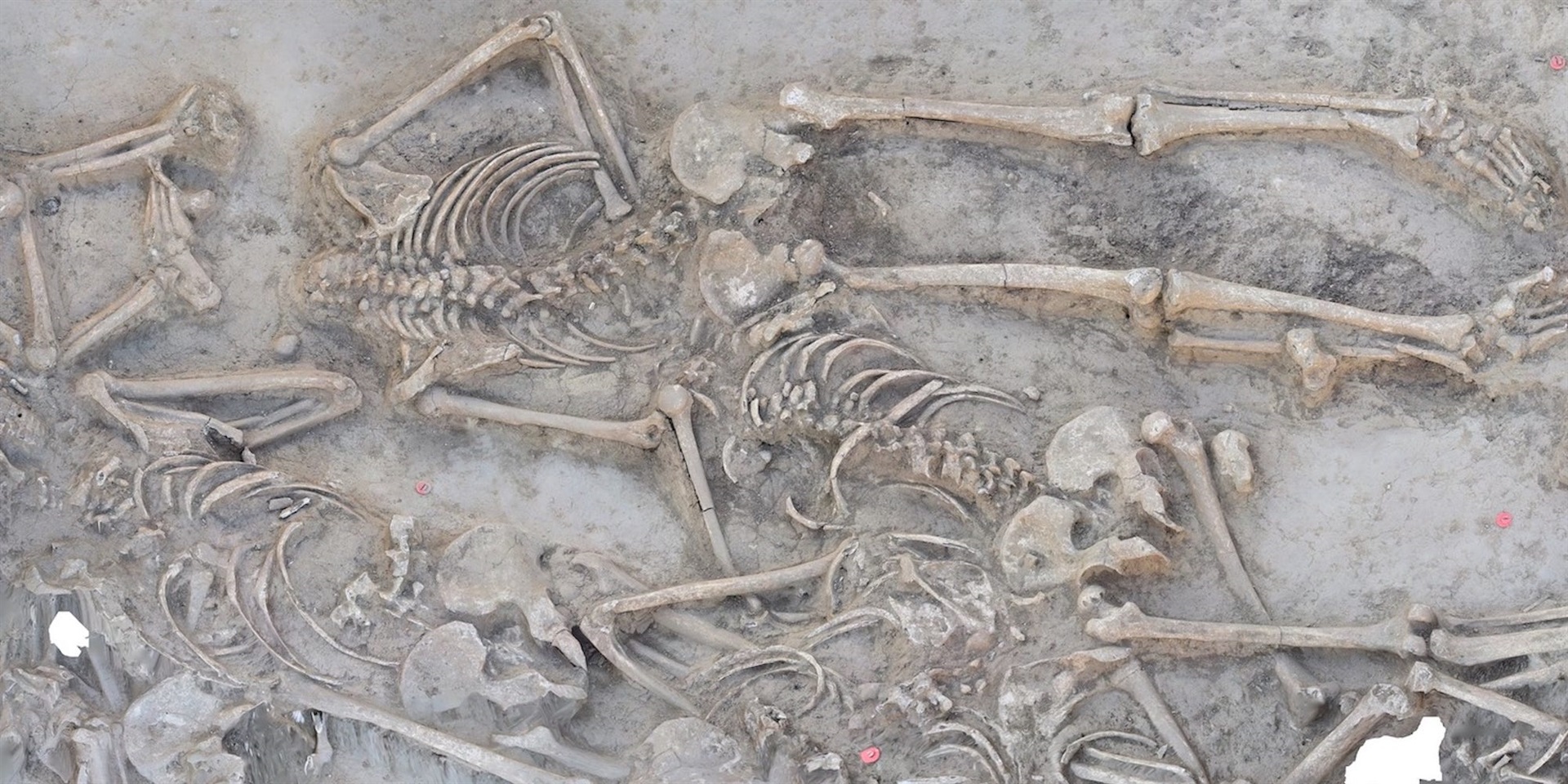 Businessinsider.co.za | Archaeologists found 38 skeletons in a 7,000-year-old mass grave. All but one had been decapitated.