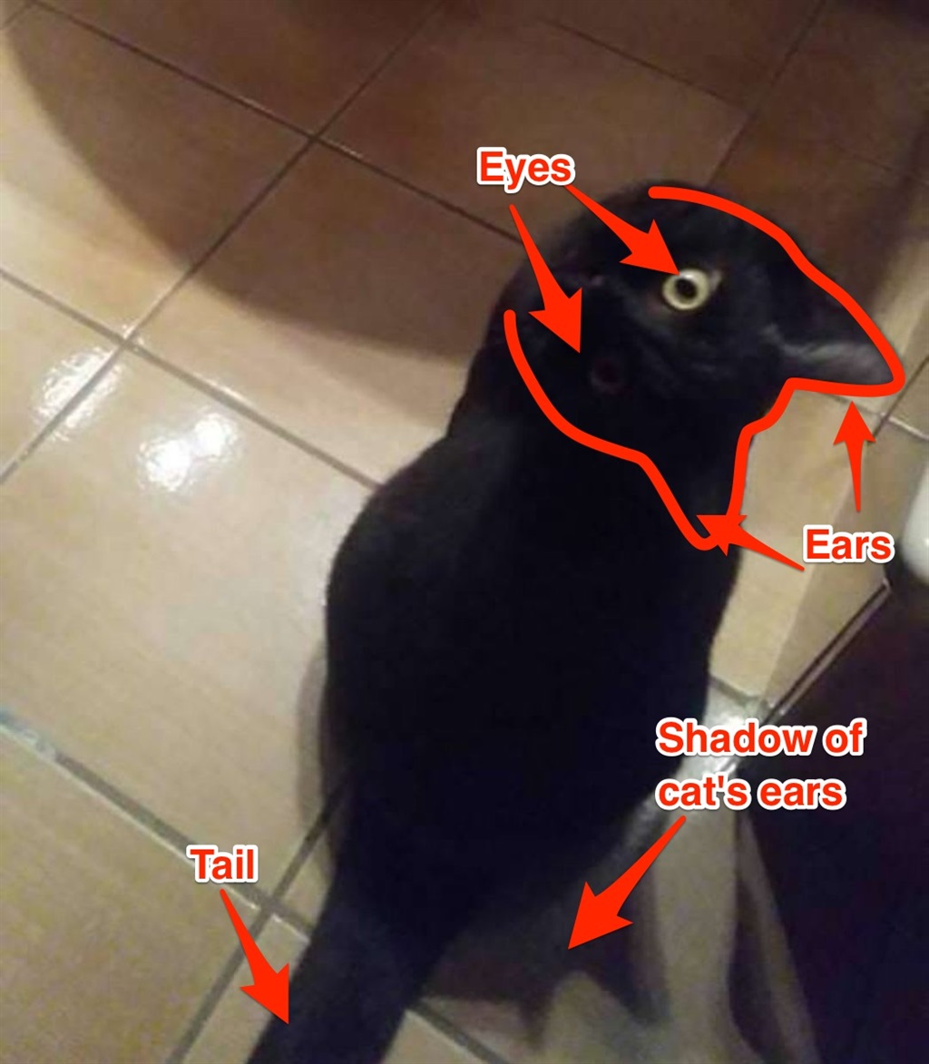 Как пройти черная кошка