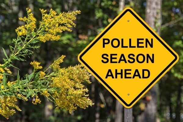 Caution Sign - Pollen Season Ahead