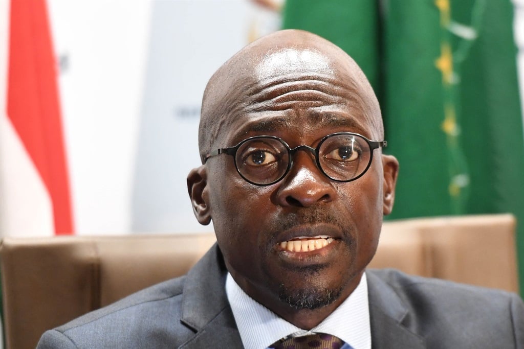 Home Affairs Minister Malusi Gigaba will have to take part in a disciplinary hearing. Picture: Deaan Vivier/Netwerk24/Gallo Images