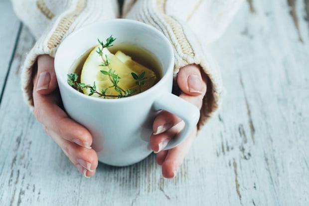 Human hands holding cup of tea with thyme herb and