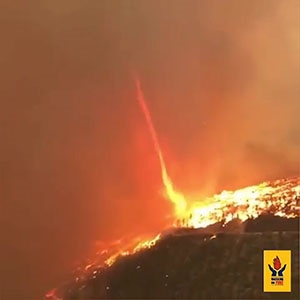 Blazes ravaging the Southern Cape’s Garden Route have caused hundreds of people to be evacuated in recent weeks.
Firefighters have been braving near apocalyptic conditions. A video by Working on Fire shows a ‘firenado’ emerging and whipping through the vegetation in the De Vlugt area.
