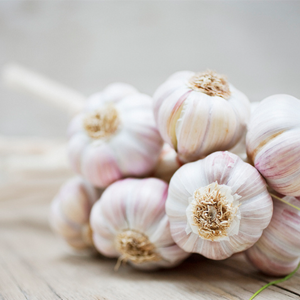 Research shows that garlic seems to improve immunity and heart health, and help fight certain cancers.
