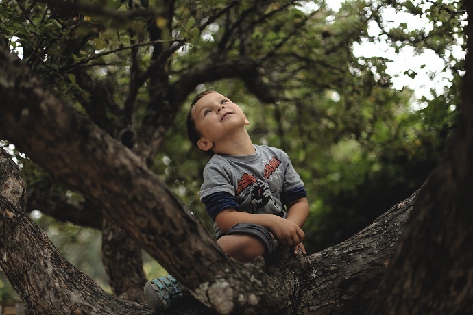 82% of the 1,400 parents surveyed agreed the benefits of tree-climbing outweighed the potential risk of injury. (Photo by Ksenia Makagonova on Unsplash) 