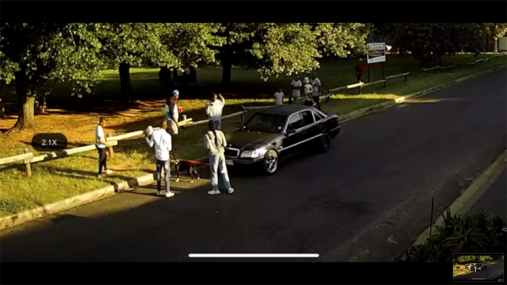 News24.com | WATCH | NSPCA investigating case of animal cruelty after footage shows dog forced to pull a car