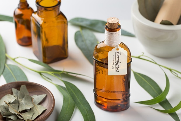 Eucalyptus essential oil wih leaves on white backg