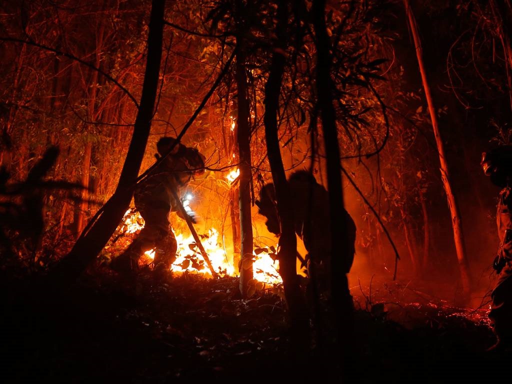 Firefighters fight a fire in Puren, Araucania regi